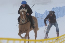 Gauditurnier und Skijöring 2015