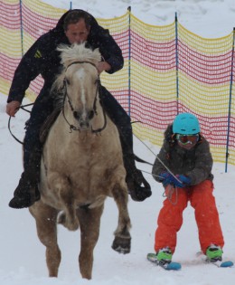 Gauditurnier & Skijöring 2015
