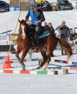 Gauditurnier & Skijöring 2022