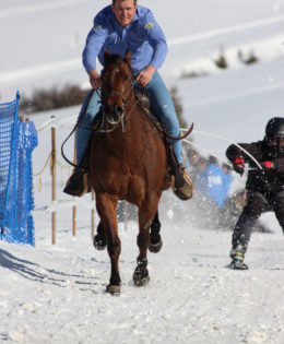 Gauditurnier & Skijöring 2023